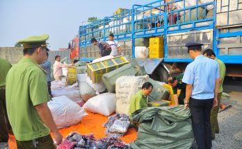 Phân biệt trốn thuế và buôn lậu 1 buon lau