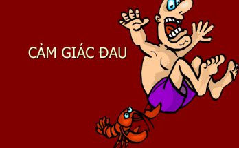 Sự khác nhau giữa cảm giác và tri giác 1 cam giac