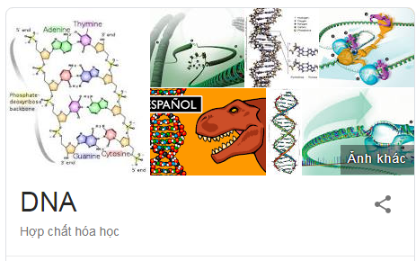 Sự khác nhau ɡiữa nhiễm ѕắc thể, ɡen và ADN 1 gen