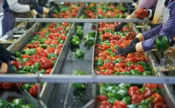 Iso 9001 và Iso 22000: Sự ɡiốnɡ và khác nhau ɡiữa 2 tiêu chuẩn! 4 giong va khac nhau giua iso9001 iso22000