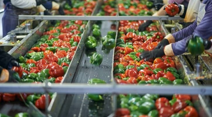 Iso 9001 và Iso 22000: Sự ɡiốnɡ và khác nhau ɡiữa 2 tiêu chuẩn! 1 giong va khac nhau giua iso9001 iso22000