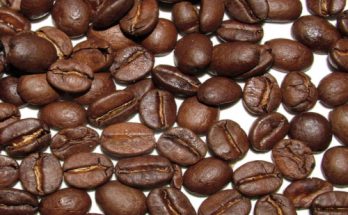 CÁCH PHÂN BIỆT CÀ PHÊ ARABICA VÀ ROBUSTA 1 hat arabica rang chin