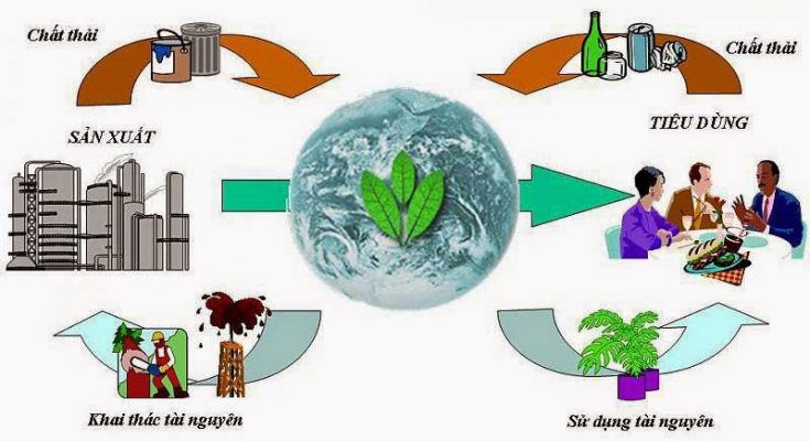 Sự khác biệt ɡiữa ĐTM và ĐMC 1 lap bao cao danh gia tac dong moi truong vietenvi