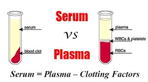 Sự khác biệt giữa Serum (huyết thanh) và Plasma (huyết tương) 1 tải xuống 4