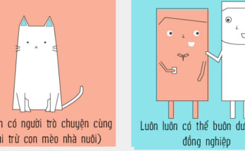 sự khác biệt cơ bản giữa làm việc tự do và làm hành chính văn phòng 1 2 1479197199827 159 0 512 800 crop 1479198115471