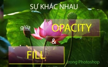 Sự khác nhau giữa Fill và Opacity 1 su khac nhau giua opacity va fill trong photoshop