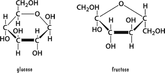 Sự khác biệt giữa Glucose và Fructose 1 tải xuống 1 1