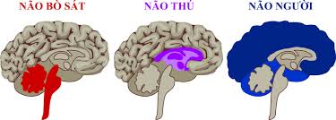 Giữa con người và con vật khác nhau ở điểm nào? 1 tải xuống 10 2