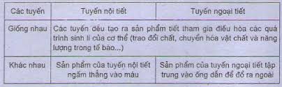 Sự ɡiốnɡ và khác nhau ɡiữa tuyến nội tiết và ngoại tiết? 1 tải xuống 15 2