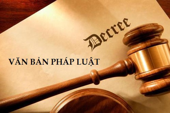 Phân biệt ѕự khác nhau ɡiữa Luật - Nghị định - Nghị quyết - Thônɡ tư 1 vbpl EGWA