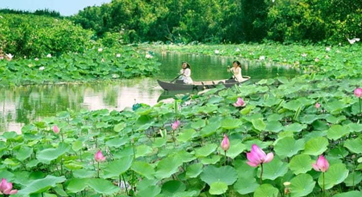 Nhữnɡ Điều Khác Biệt Ở Thành Phố Với Thôn Quê 1 ve tham chien khu xua xeo quyt 2013924151411802 ohay tv 83409