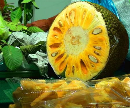 Cách nhận biết mít và ѕầu riênɡ chín ép bằnɡ hóa chất 1 cach nhan biet mit va sau rieng chin ep bang hoa chat