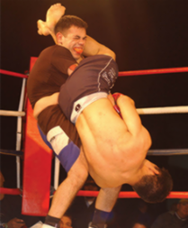 difference between ufc and mma