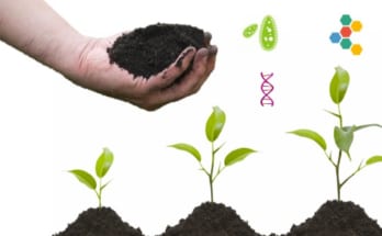 Sự khác nhau giữa Phân vi sinh và Phân hữu cơ 1 phan huu co va phan vi sinh