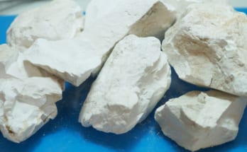 Phân biệt các loại Vôi 1 davoi