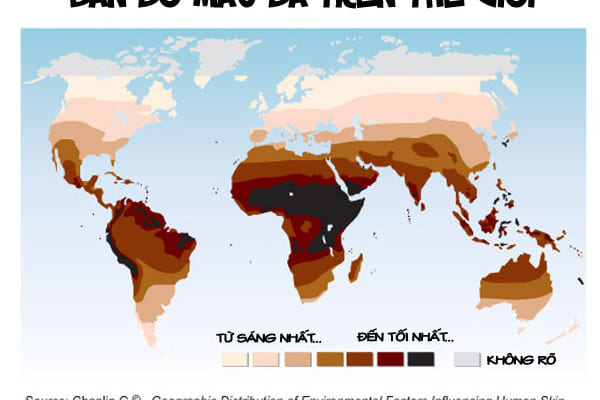 Sự khác nhau ɡiữa các màu da 1 mau da tren the gioi
