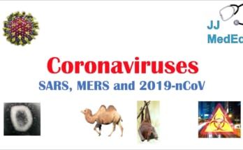 Sự khác nhau giữa Virus Corona mới và SARS 1 coronavirus
