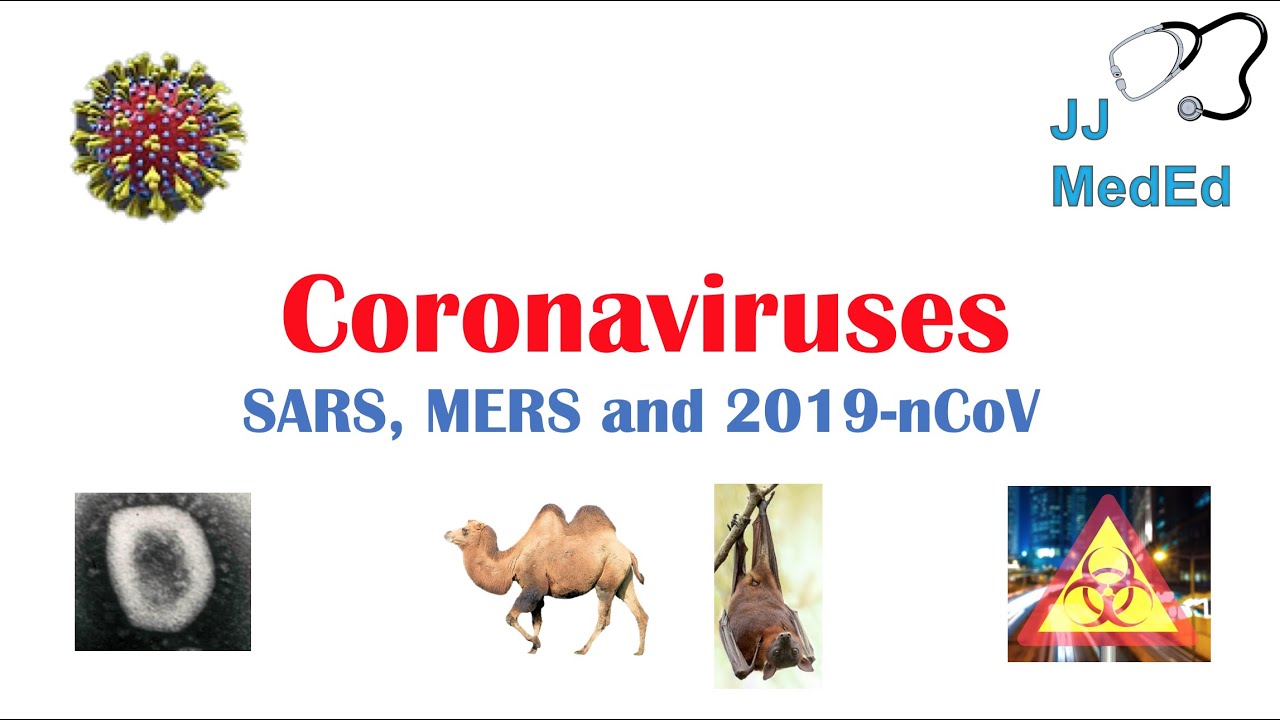 coronavirus