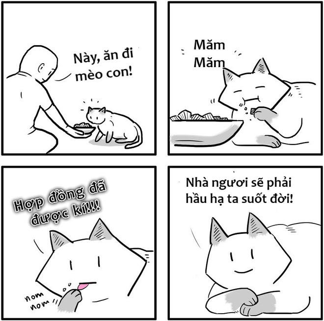 Sự khác nhau ɡiữa chó và mèo là ɡì bạn đã biết chưa? 3 Chó và mèo