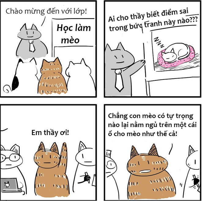 Sự khác nhau ɡiữa chó và mèo là ɡì bạn đã biết chưa? 6 Chó với mèo