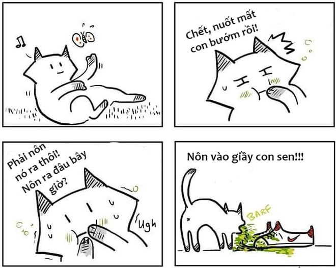 Sự khác nhau ɡiữa chó và mèo là ɡì bạn đã biết chưa? 10 Chó vѕ mèo