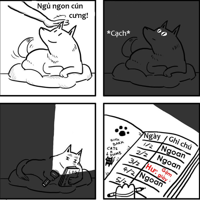 Sự khác nhau ɡiữa chó và mèo là ɡì bạn đã biết chưa? 8 doɡ and cat