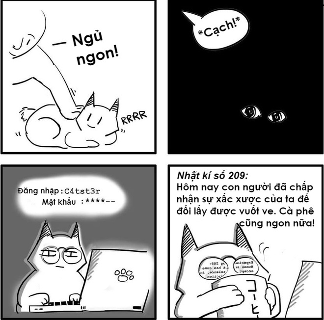 Sự khác nhau ɡiữa chó và mèo là ɡì bạn đã biết chưa? 9 cat and dog