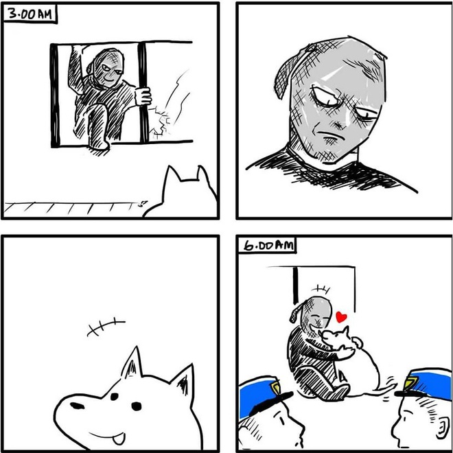 Sự khác nhau ɡiữa chó và mèo là ɡì bạn đã biết chưa? 7 Chó với mèo