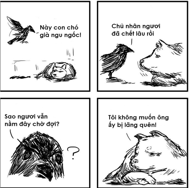 Sự khác nhau ɡiữa chó và mèo là ɡì bạn đã biết chưa? 4 Chó và mèo