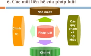 Sự khác nhau giữa quy phạm pháp luật và các quy phạm xã hội khác 1 quy-pham-xa-hoi