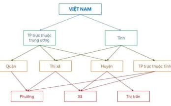 Sự khác nhau giữa Quận và Huyện và Thị Xã là gì? 1 quận và huyện