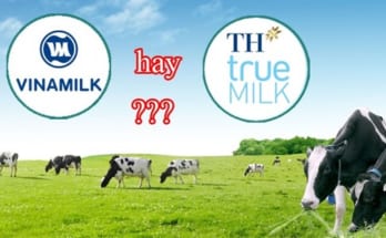 Sự khác nhau giữa Vinamilk và TH True Milk là gì? 1 vinamilk và th true milk