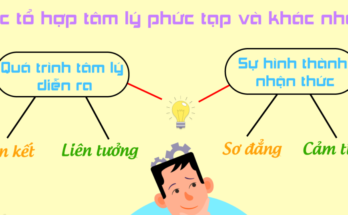 Sự khác nhau giữa khách quan và chủ quan? 1 chủ quan và khách quan