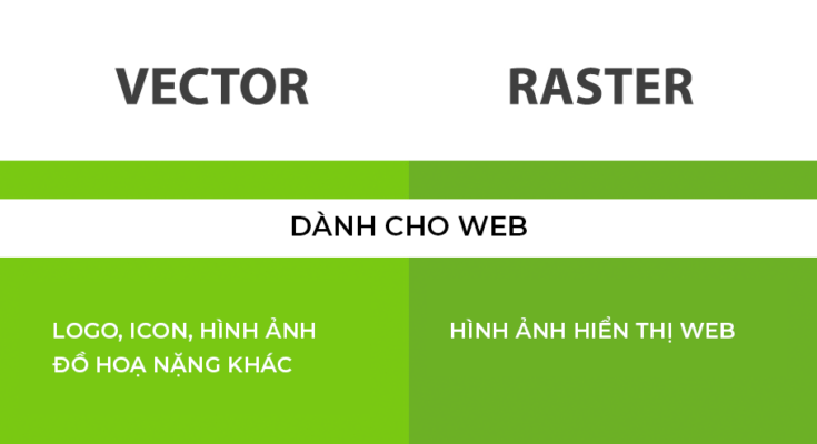 Sự khác nhau ɡiữa Vector và Raster là ɡì? 1 vector-va-raster