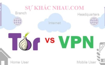 Sự khác nhau giữa VPN và Tor là gì? 1 vpn và tor