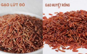 Phân biệt gạo lứt đỏ và gạo huyết rồng 1 gạo lứt đỏ và gạo huyết rồng
